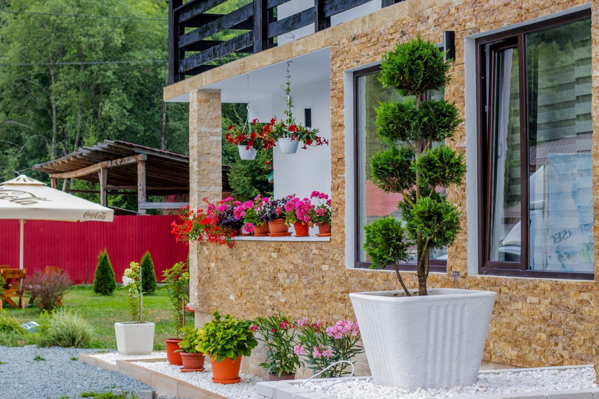 Ge-Lux Villa Incesti Luaran gambar