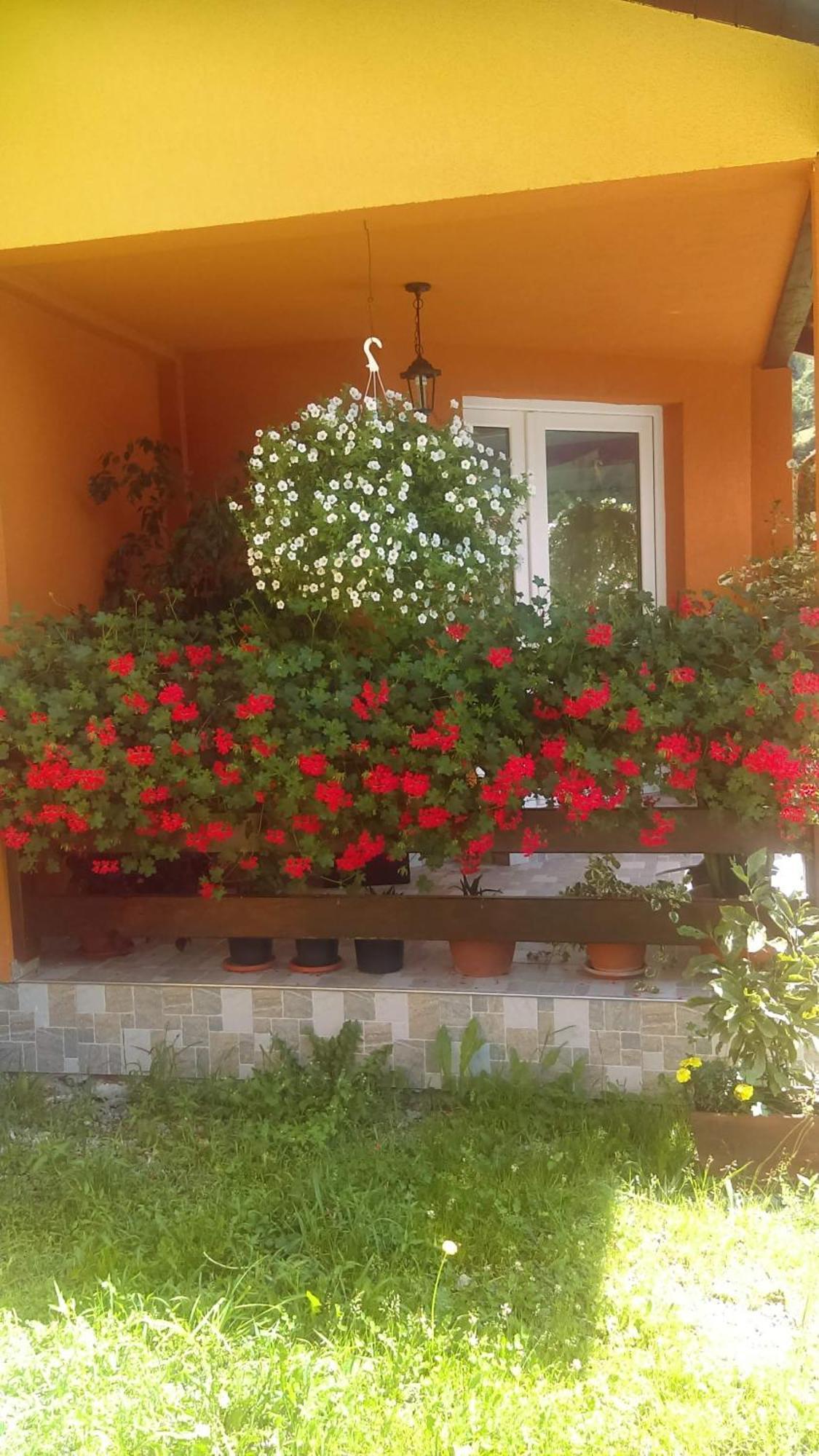 Ge-Lux Villa Incesti Luaran gambar