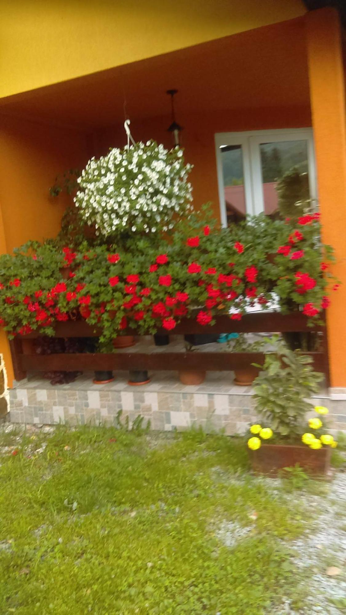 Ge-Lux Villa Incesti Luaran gambar