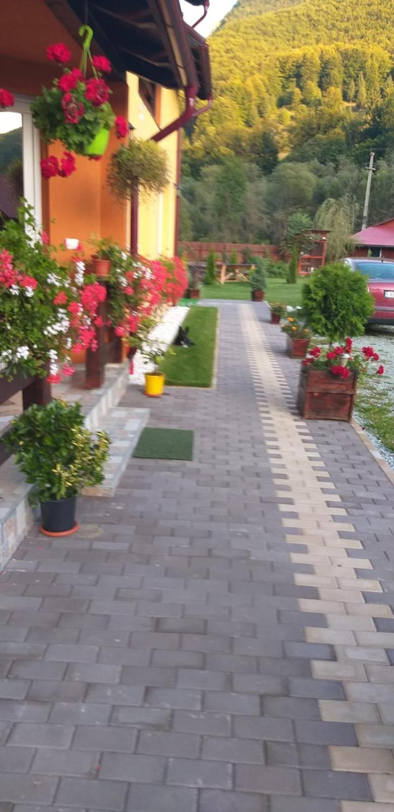 Ge-Lux Villa Incesti Luaran gambar